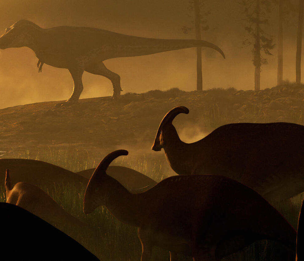 tyrannosaure-exceptionnellement-grand-couv