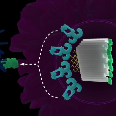 vaccins-adn-origami-arnm-couv