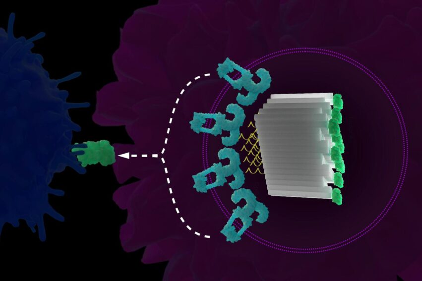 vaccins-adn-origami-arnm-couv