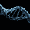 modification-genome-embryon-humain-couv