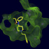vaccin-fentanyl-oversodes-couv