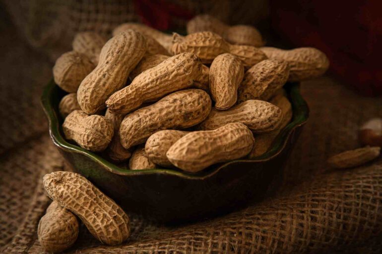 Allergie aux arachides : la transplantation fécale a amélioré la tolérance lors d&rsquo;un essai clinique