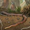 serpents-habitats-marins-terrestre-couv